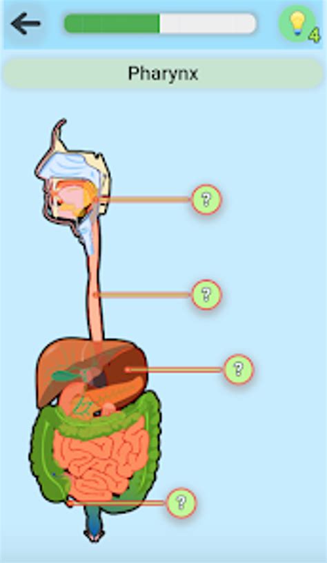 Image result for Alien Anatomy Game