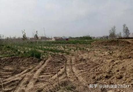 常年不在家地被破坏 鄠邑区村民家中耕地被偷挖沙500平米