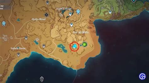 Genshin Impact Dendro Hypostasis Cómo encontrar y Boss Guide - 4pmtech ...