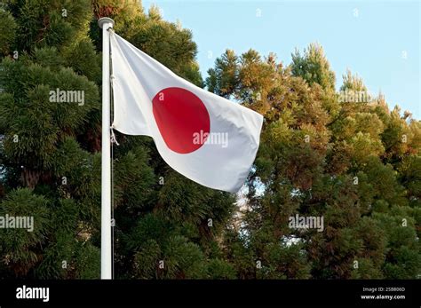 Japanese Flag 的图像结果