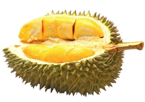 Durian Fruit In Spanish at Ronald Pepper blog