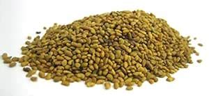 Zoava Foods Organic Alfa Alfa Seeds, 250 Grams : Amazon.in: Grocery ...