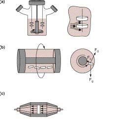Image result for Tissue Engineering Bioreactor