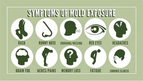 Does Mold Cause Headaches