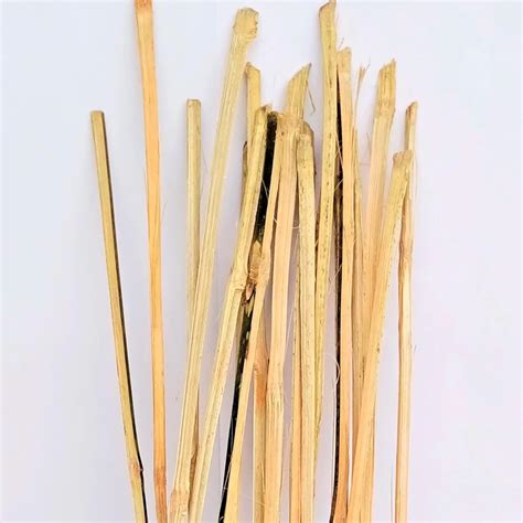 BACKYARD FARMING Bamboo Stick Stake for Plant Support Climber Support 3 ...