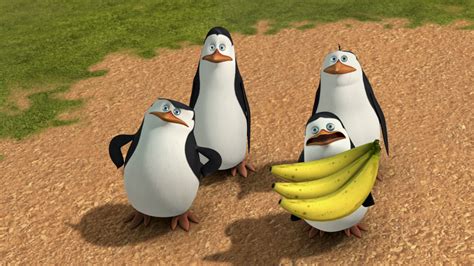 Watch The Penguins of Madagascar Season 3 Episode 11: Operation: Swap ...