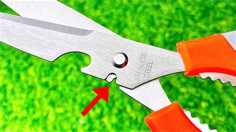 Image result for Scirrors Using