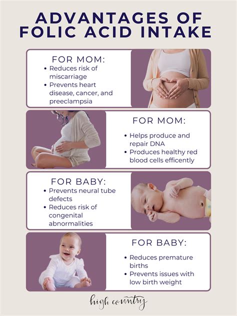 Folic Acid: Do You Need It? — High Country Doulas