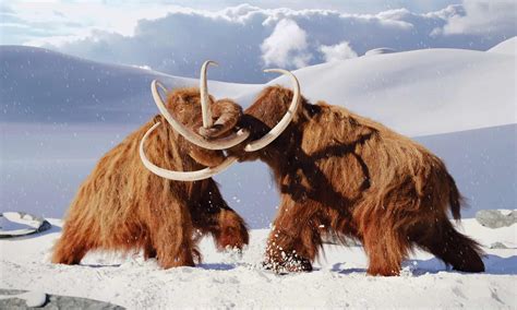 10 Extinct Mammals (With Photos) - A-Z Animals
