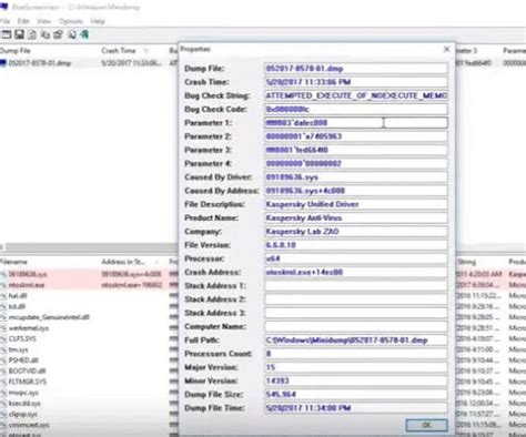Image result for Blue Screen View