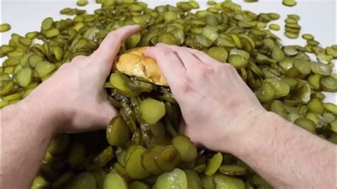HowToBasic Pickles 的图像结果