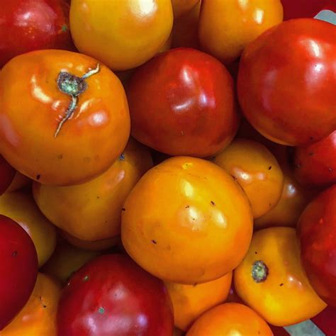 TRAUGER'S FARM MARKET (2026) All You Need to Know BEFORE You Go (with ...