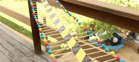 Image result for Wave Machine Using Straws