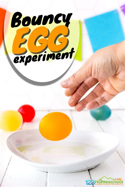 Vinegar And Egg Experiment