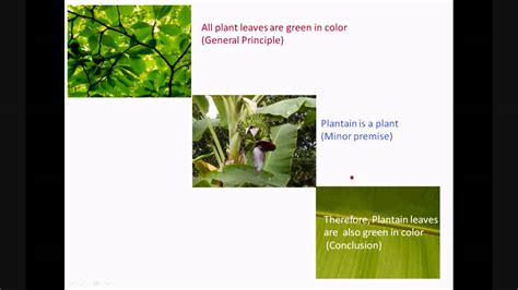 Logic Examples 的图像结果