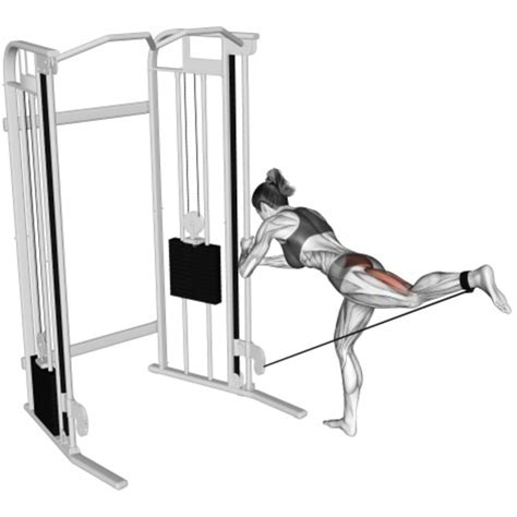 Image result for Cable Kickbacks