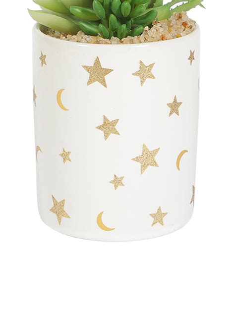 Market99 Fake Aloevera Planter Pot - Artificial Flower, Gift & Decor ...