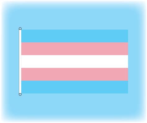 Progress Pride Flag (LGBTQ+ Pride) | Flags and Flagpoles