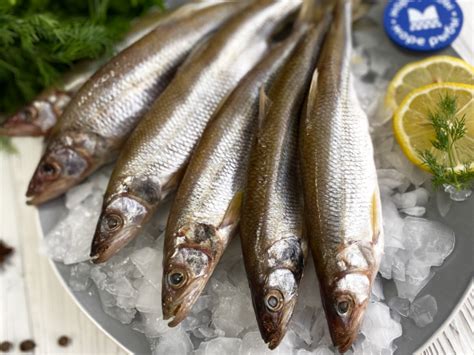 Рыба / Свежемороженая / Ассортимент
