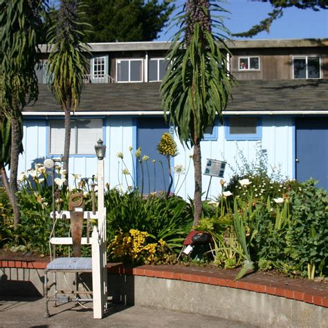 Mendocino Art Center (2026) - All You Need to Know BEFORE You Go (with ...