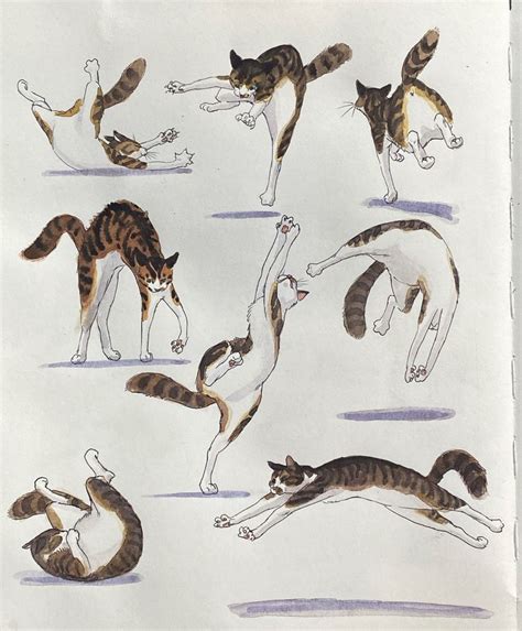 Image result for How to Draw a Cat Tutorial