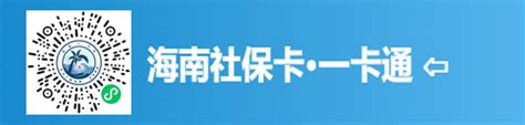 海南省社保个人账户查询_社保查询服务平台