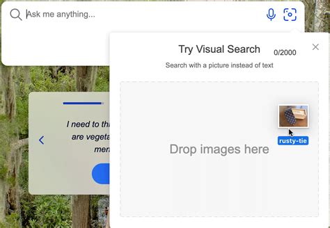 Bing Image Search 的图像结果