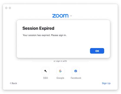 Image result for Zoom Workspace Error