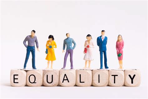 Image result for Equality Example