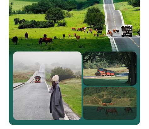 Chongqing Wulong 1-Day Tour (Natural Three Bridges + Longshuixia Ground ...