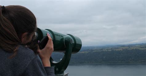 Image result for Example of Things That Reflect