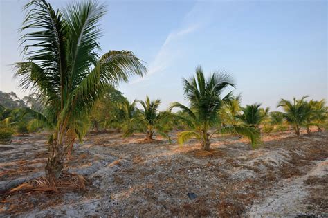 Rezultat imagine pentru Contra PC