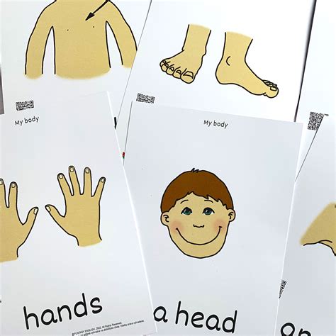 6 obrázkov častí tela vo formáte A5 – FuntasyEnglish