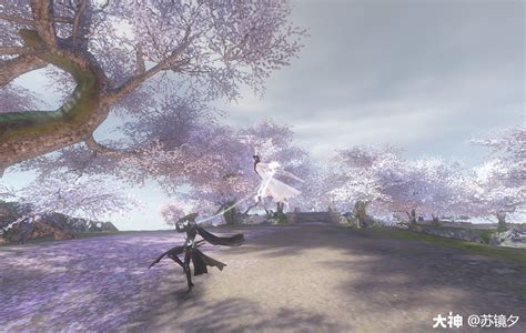 樱云节点官网，(樱桃云系统登录)