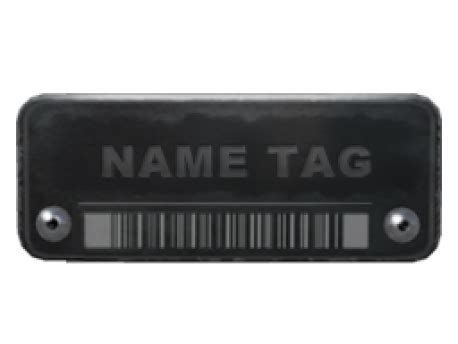 Image result for Coloured Name Tag CS2 Tutorial