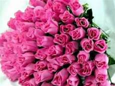 auguri fiori auguri di buon compleanno auguri fiori auguri di buon compleanno