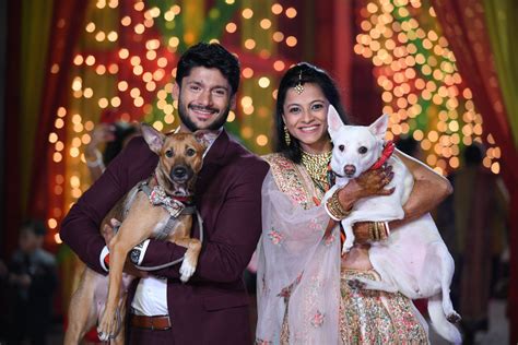 How to introduce your partner to your dog l Lana Paws Blog