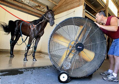 100-degree heat grips the South, Midwest - syracuse.com
