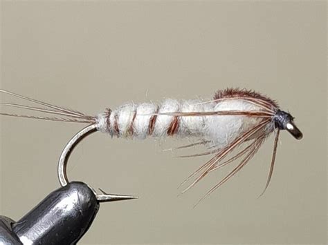 Simple Nymph Patterns Mayfly 的图像结果