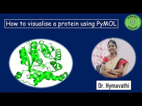 Image result for PyMOL Demo