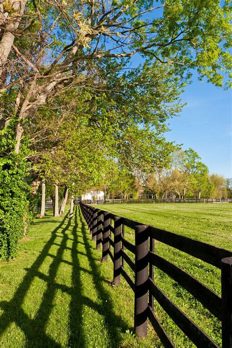 Country Pics 的图像结果