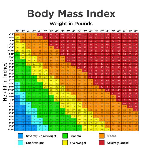 Body Mass Index (BMI): What Is It and Why Is It Important? – Lindora Clinic