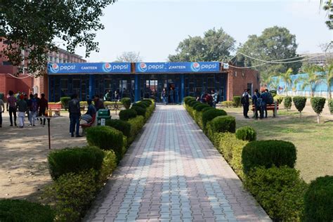 Post Graduate Government College | PGGC11