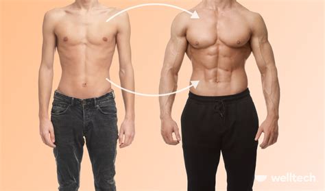 Image result for Progressive Overload Program in Training