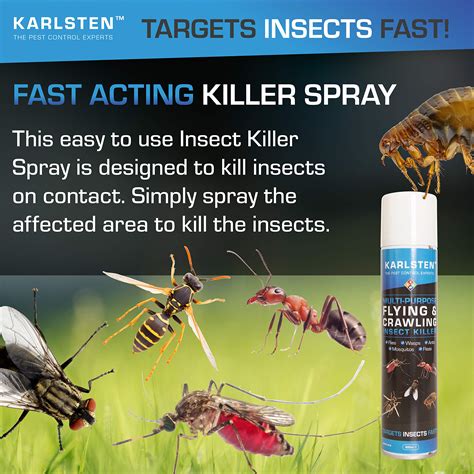 Buy Multi Insect Killer X 2 Aerosols 300 ML Kills Most Common Insects ...