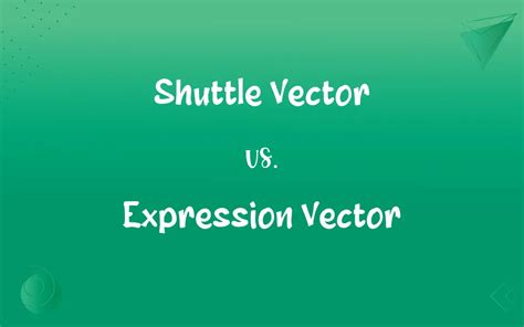 Image result for Shuttle Vector Applications