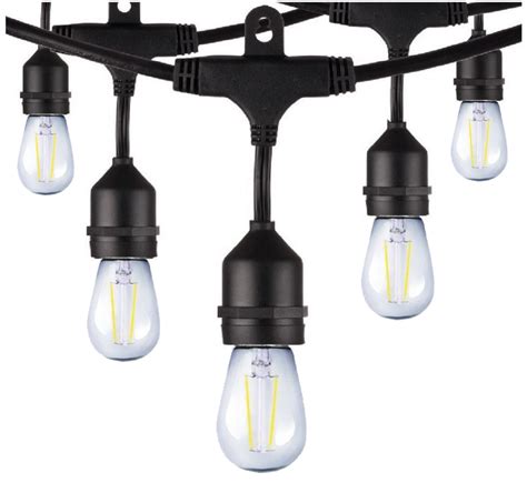 Image result for Commercial LED String Lights