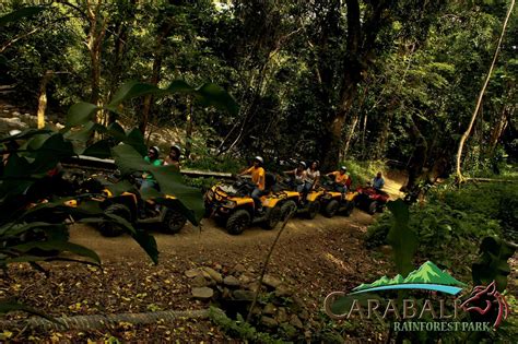 CARABALI RAINFOREST PARK (2026) All You Need to Know BEFORE You Go ...