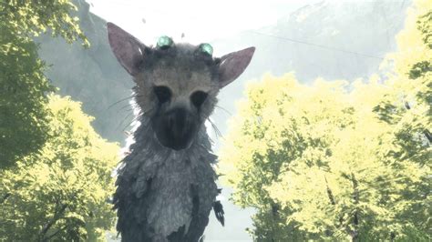 Making Sense of Trico: The Last Guardian's Misunderstood Hero
