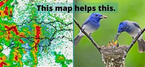 Free GIS Tutorials 的图像结果